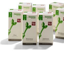 FICO MACERATO GLICERICO 100 ML - Farmacia di Regoledo Srl