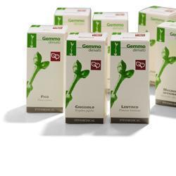 RIBES NERO MACERATO GLICERICO 100 ML - Farmacia di Regoledo Srl