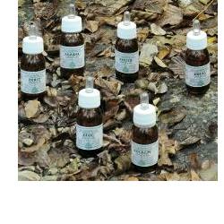 ZEABEL OLIO MASSAGGIO 50 ML - Farmacia di Regoledo Srl