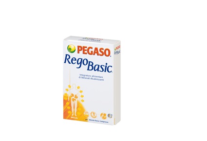 REGOBASIC 12 BUSTINE POLVERE - Farmacia di Regoledo Srl