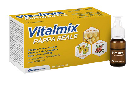 VITALMIX PAPPA REALE 10FLACONCINI X10 ML S/GL - Farmacia di Regoledo Srl