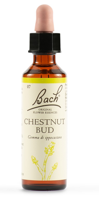 CHESTNUT BUD BACH ORIG 20 ML - Farmacia di Regoledo Srl
