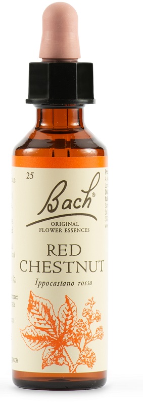 RED CHESTNUT BACH ORIG 20 ML - Farmacia di Regoledo Srl
