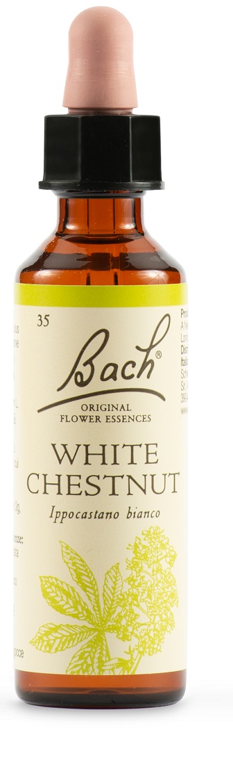 WHITE CHEST BACH ORIG 20 ML - Farmacia di Regoledo Srl