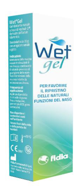 WET GEL 20 G - Farmacia di Regoledo Srl