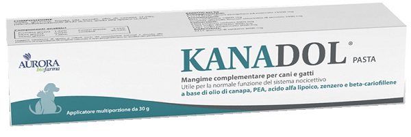 KANADOL PASTA 30 G - Farmacia di Regoledo Srl