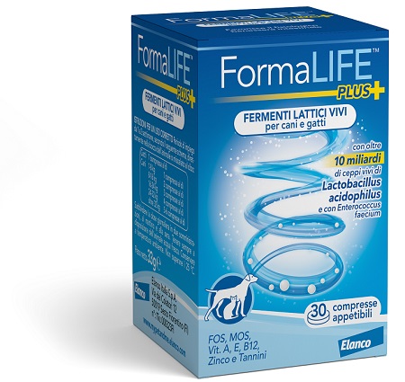 FORMALIFE PLUS FERMENTI LATTICI VIVI 30 COMPRESSE APPETIBILI - Farmacia di Regoledo Srl